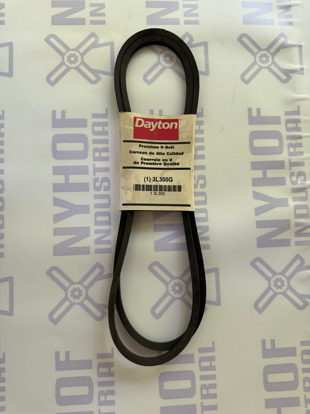 DAYTON 3L300G