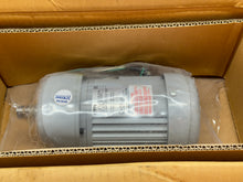 Load image into Gallery viewer, GTR/BROTHER G3LM-18-10-T020X 3-PHASE INDUCTION MOTOR 200/220V
